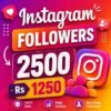 Gain 2500 Organic Instagram Followers