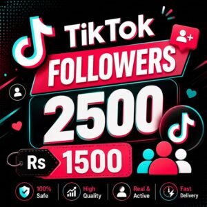 Get 2500 Active TikTok Followers